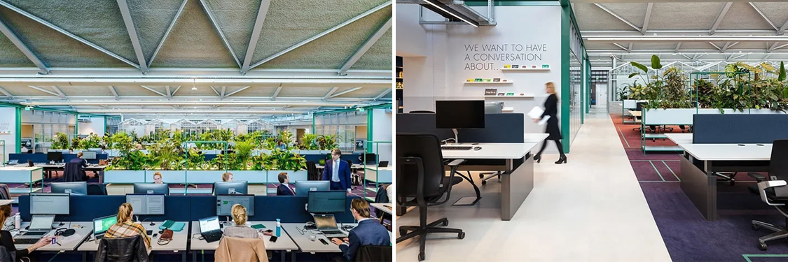 广州办公室装建设计