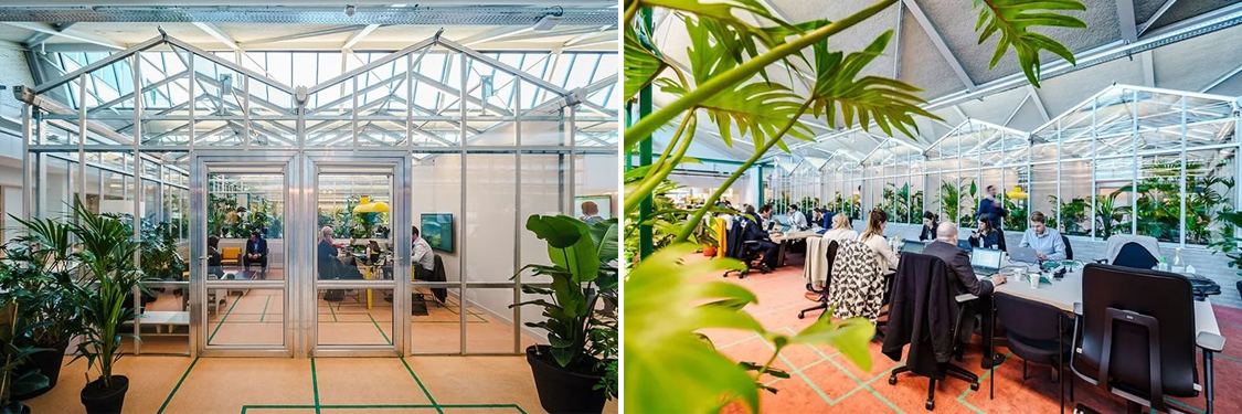 广州办公室装建设计